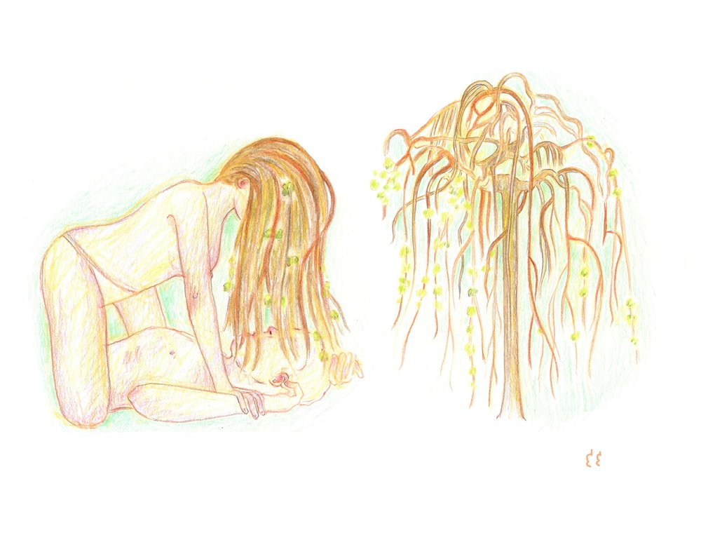 HairMulberryTree.jpg